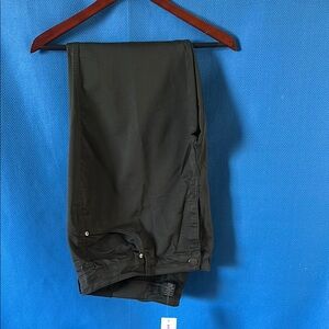 Lane Bryant “The Jegging” Pants